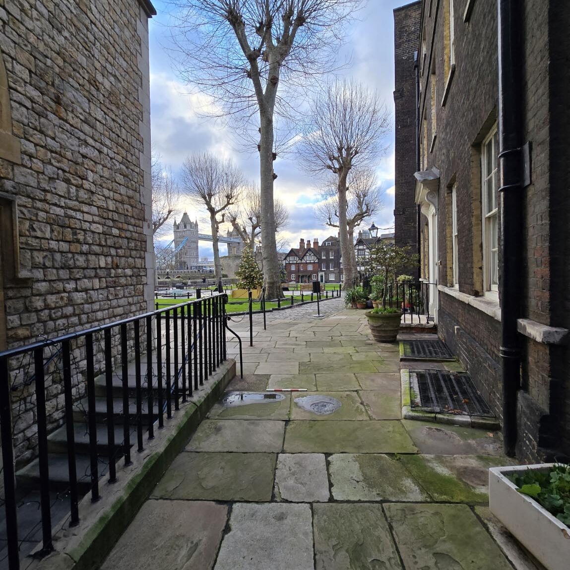 This is the site before excavation began, with Tower Bridge in the background. The investigation centred on the chapel area, where we hoped to find clues to its medieval past.