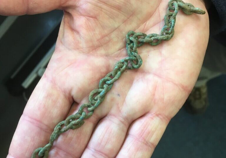 Arbor-city-chain