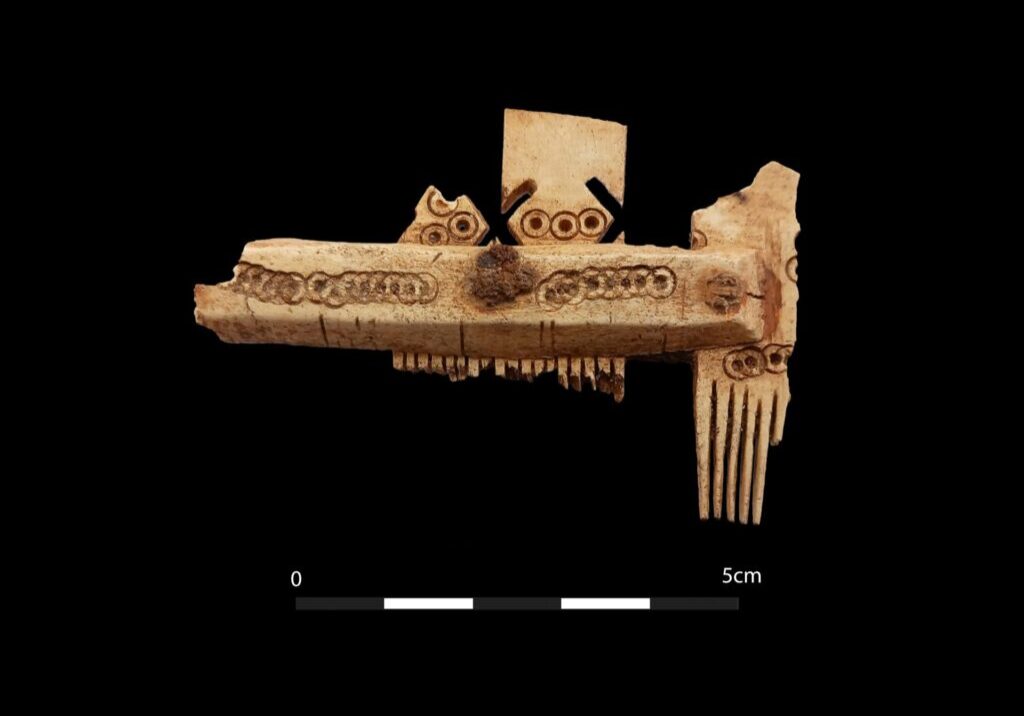 Irish saxon comb-