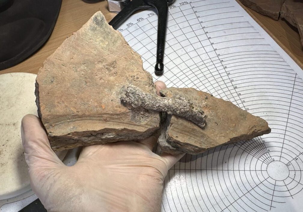 dolium-1