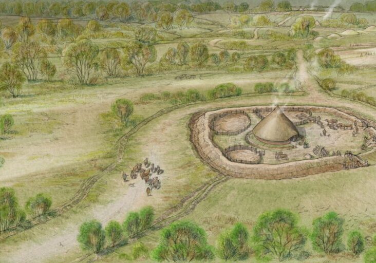 enclosure reconstruction