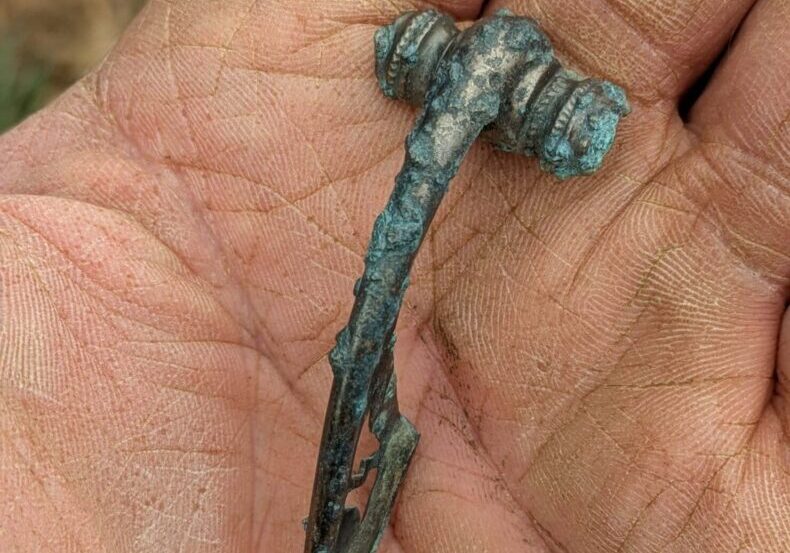 silver fibula-